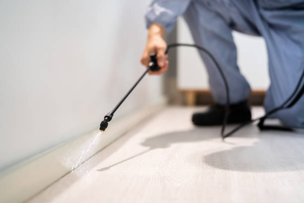 Licensed Termite Control service in Constantine, MI - Nex Pest Control