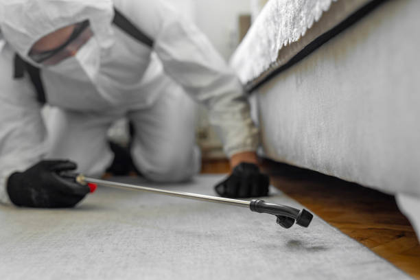 Professional Termite Control technician working in Constantine, MI