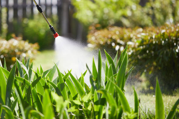 24/7 Emergency Termite Control experts in Constantine, MI