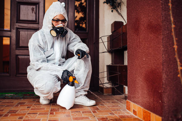 Reliable Termite Control contractor in Constantine, MI by Nex Pest Control