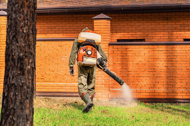 Top rated local Termite Control specialists in Constantine, MI